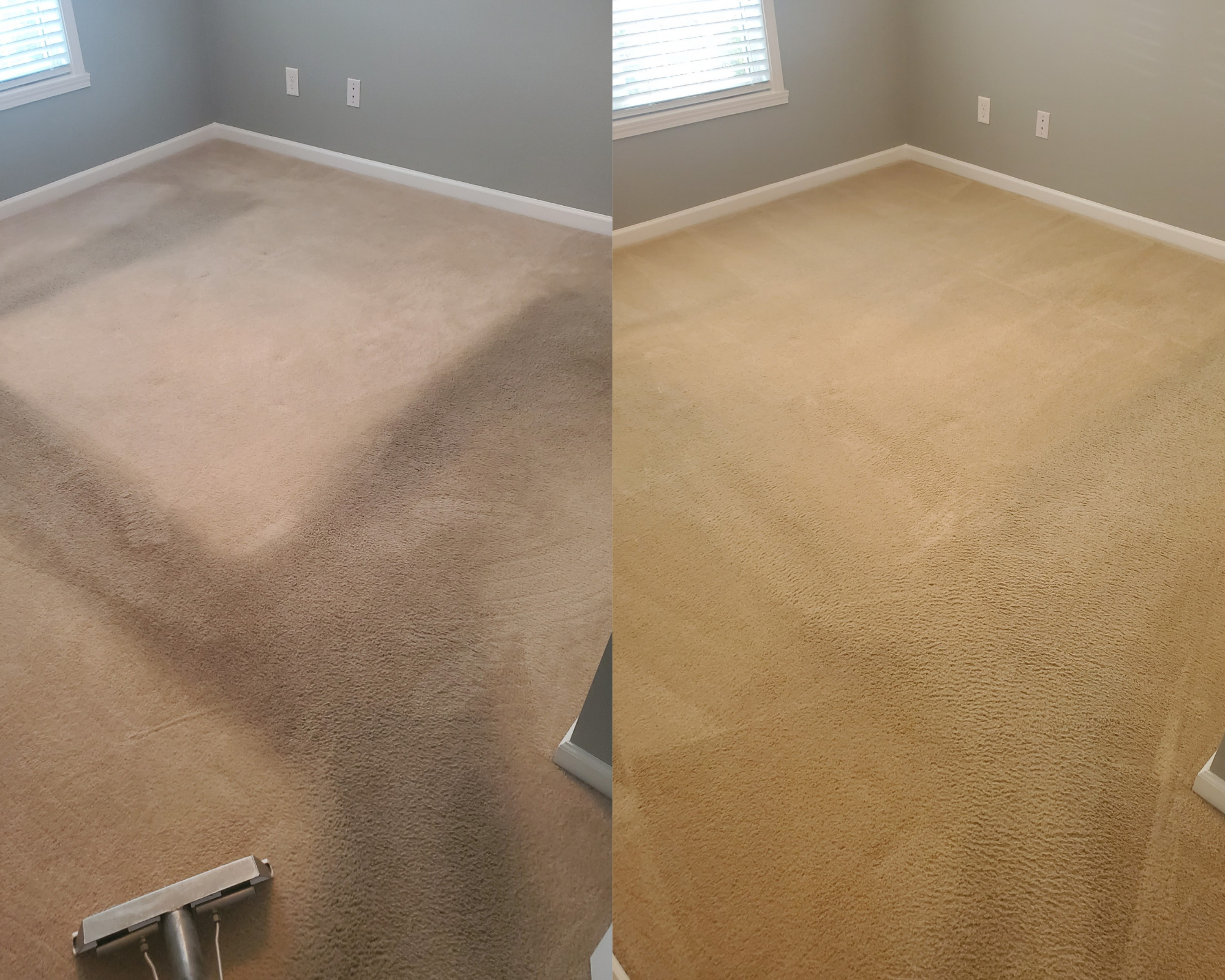 Carpet cleaning in Greensboro, NC