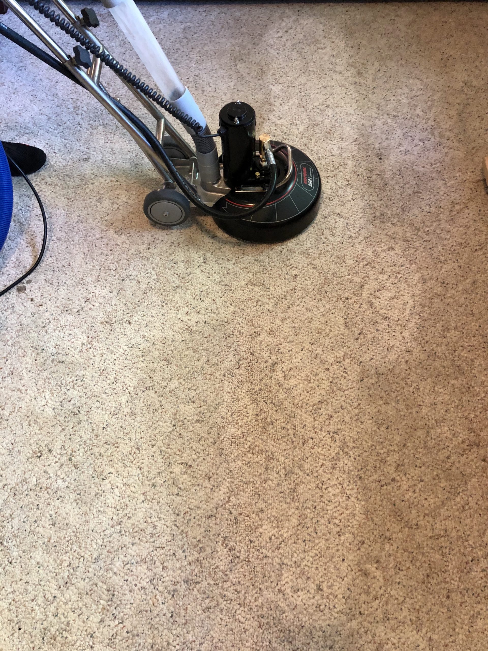carpet-scaled