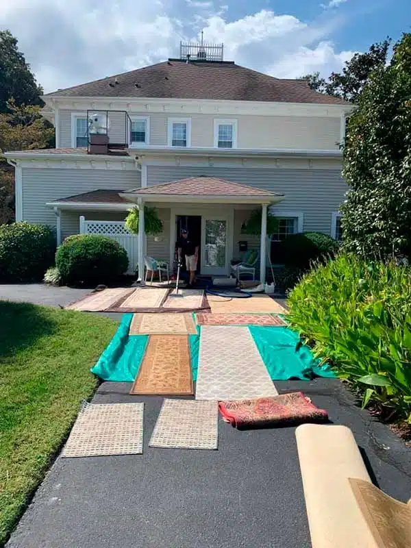 Area Rug Cleaning in Burlington