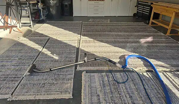 Area Rug Cleaning