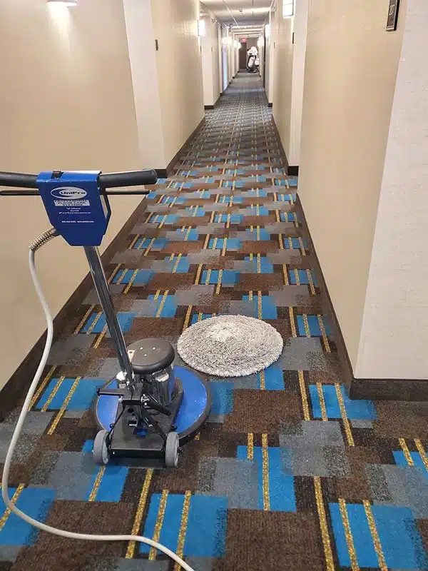 Carpet Cleaner in Whitsett, NC