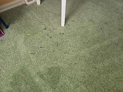 Remove Spots, Stains, and Odors in Burlington
