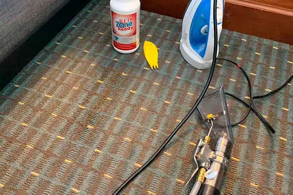 Remove Spots, Stains, and Odors in Burlington