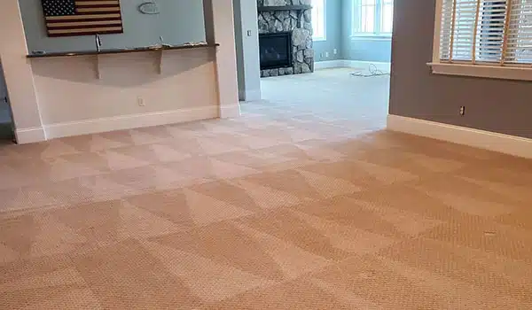Residential Carpet Cleaning
