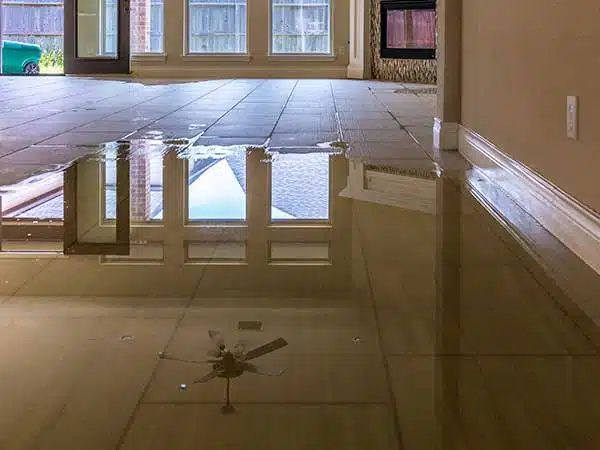 Water Damage Mitigation in Burlington