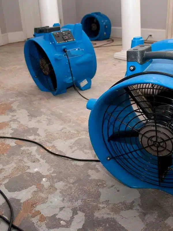 Water Damage Mitigation in Burlington